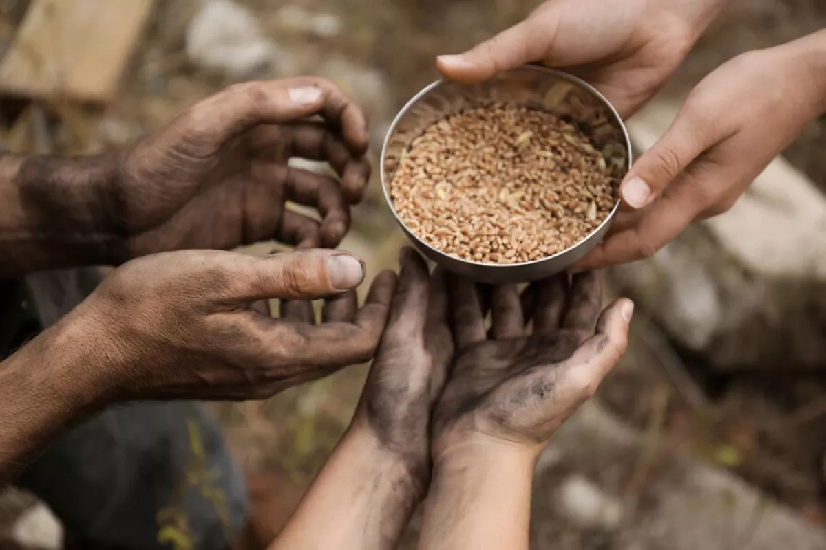 WSJ: Fertilizer shortages raise fears of food crisis in US