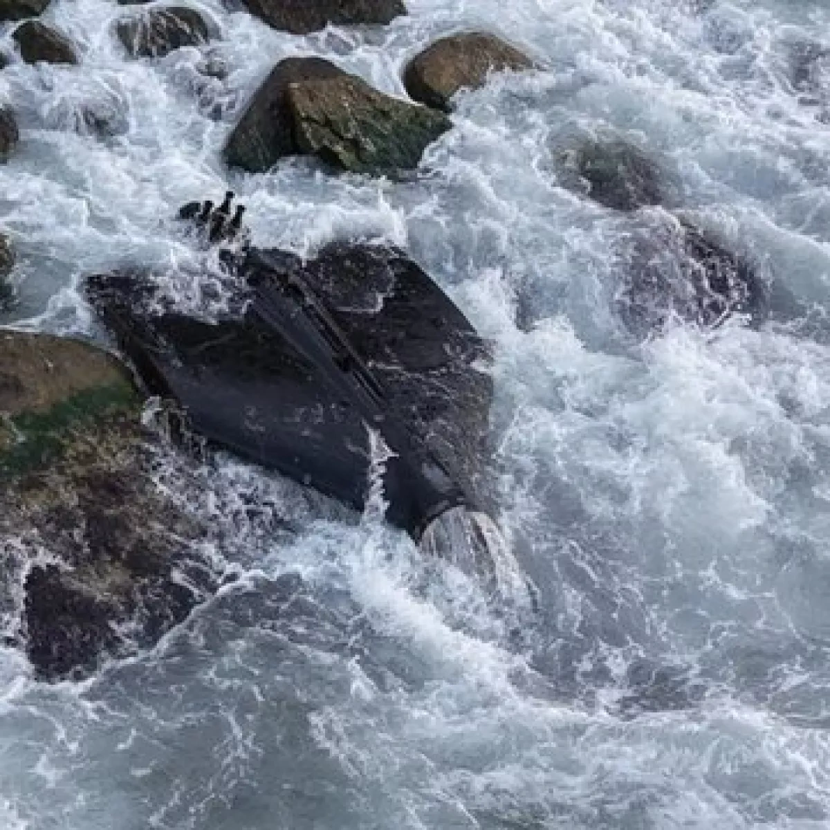 Unidentified drone found off Türkiye’s Black Sea coast PHOTO