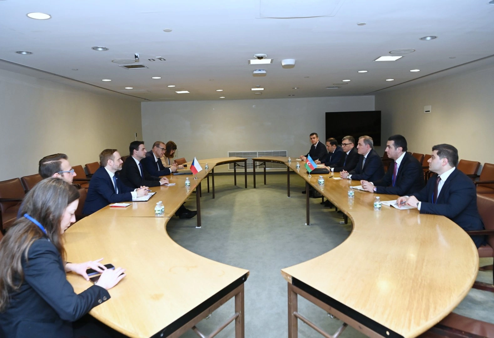 Azerbaijan, Czech Republic exchange views on regional and international issues (PHOTO)