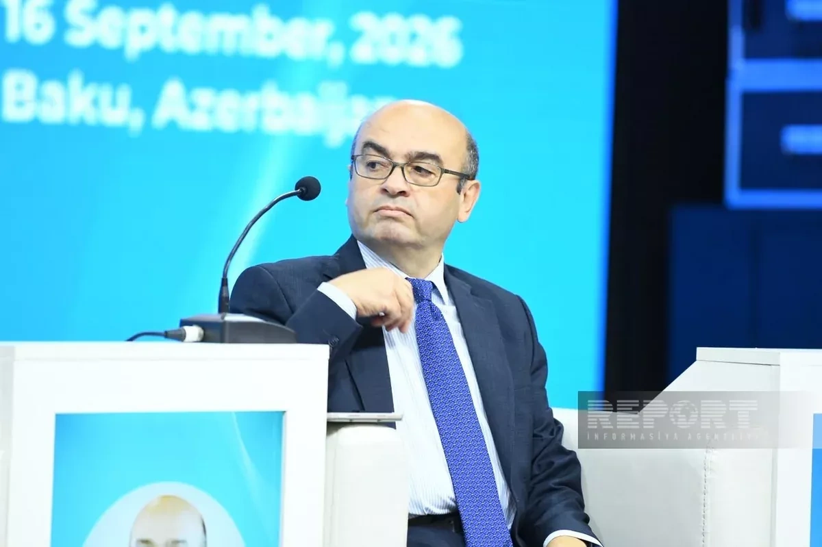 Expert: Critical minerals could give Middle Corridor new strategic role