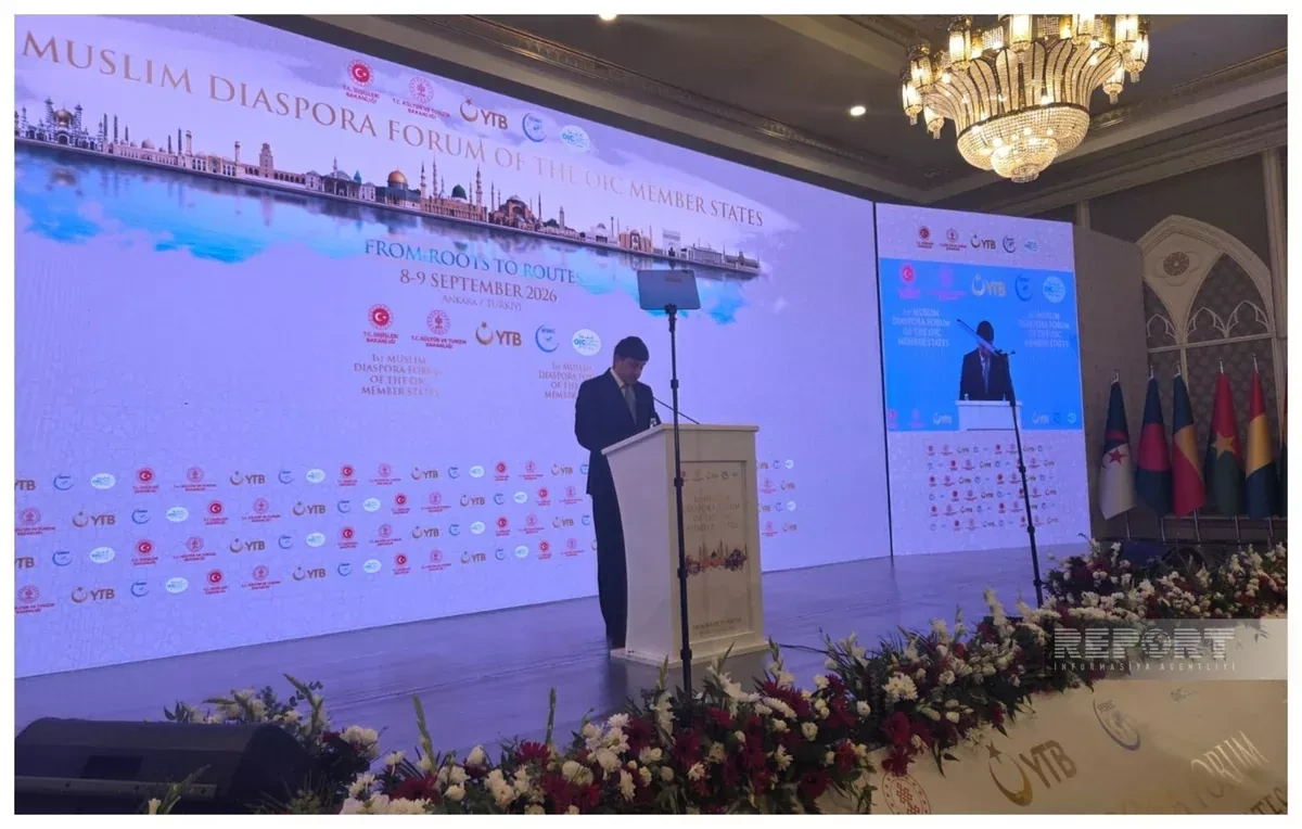 Azerbaijani president supports stronger ties with diaspora, official says PHOTO