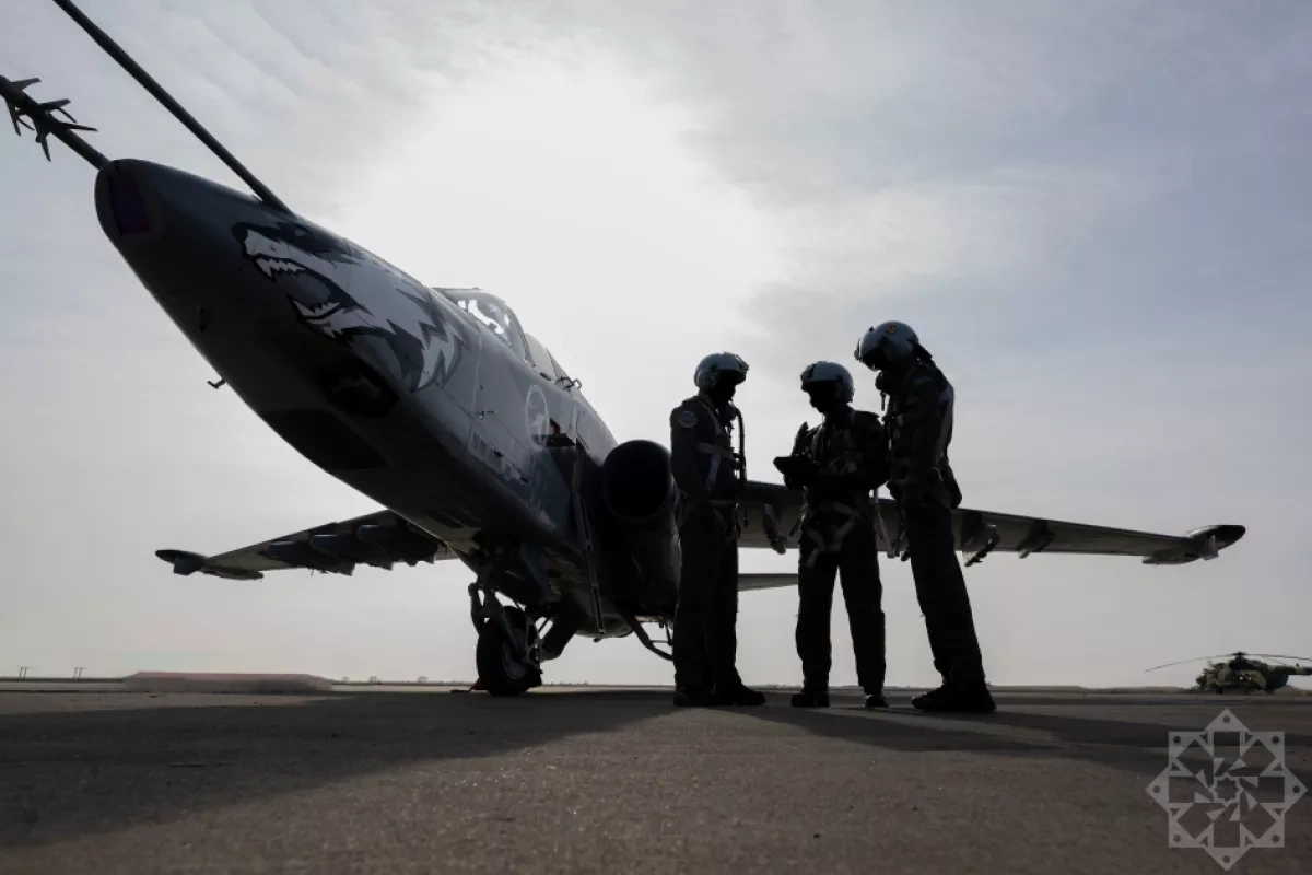 Azerbaijan marks Air Force Day Photo