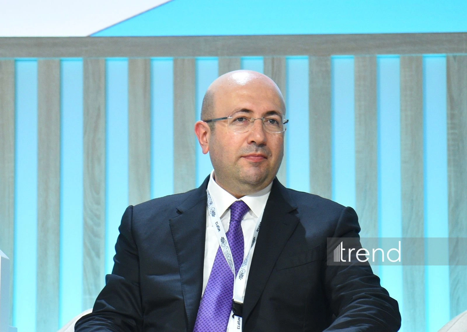 Azerbaijan's total renewable energy capacity expected to reach 8 GW by 2032 - Anar Guliyev