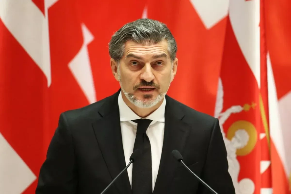 Georgian president: We are destined to win amid opposition hate