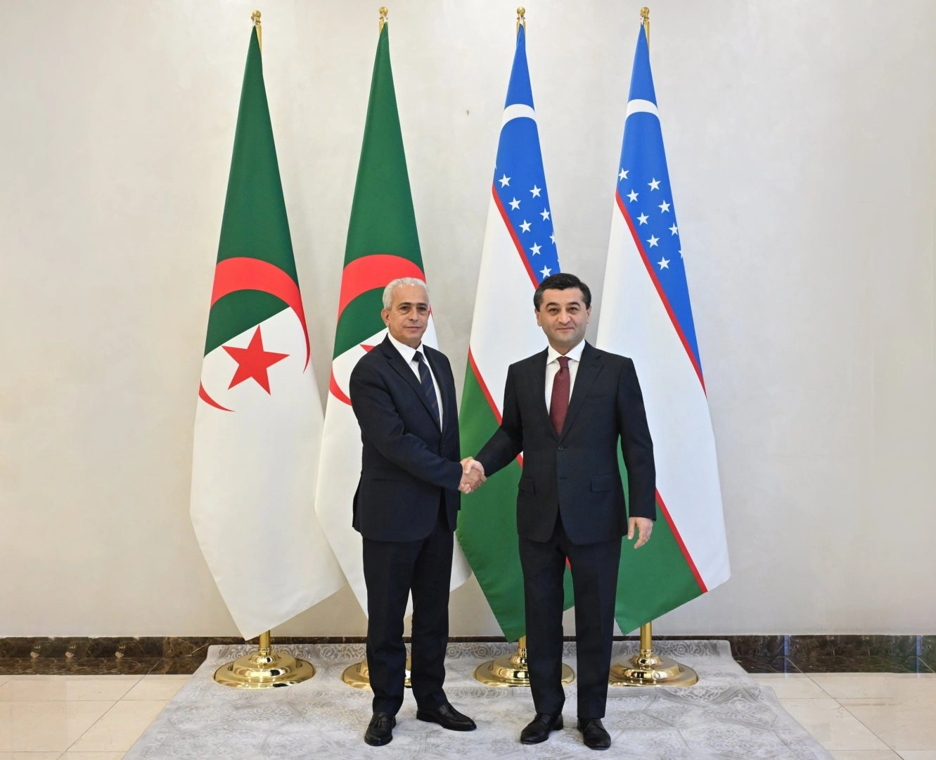 Uzbekistan, Algeria target joint projects in mineral exploration