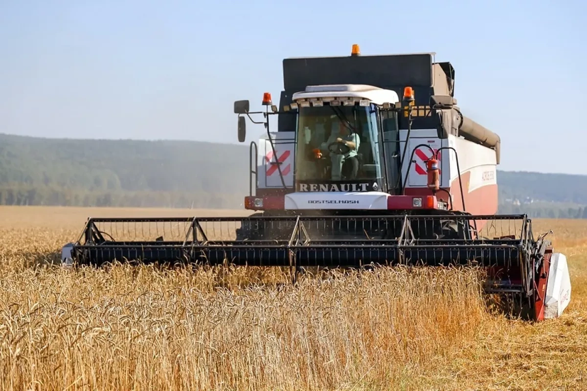 Russia faces fertiliser shortages as domestic prices surge
