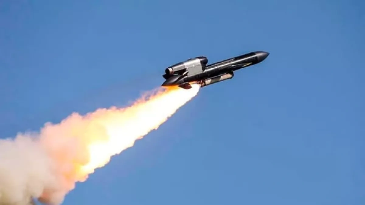 Ukraine strikes Russia with cutting-edge Flamingo missiles