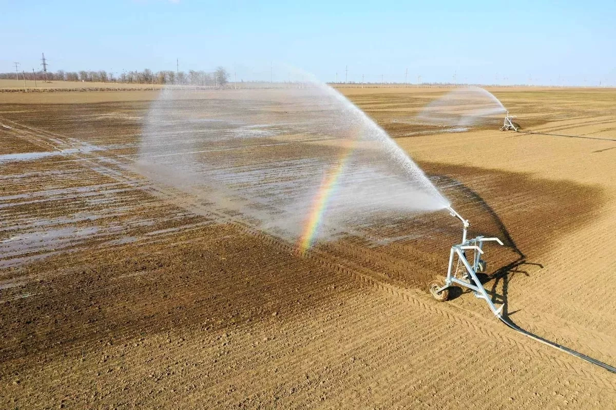 Grain course: Azerbaijan strengthens food security
 Review by Khazar Akhundov