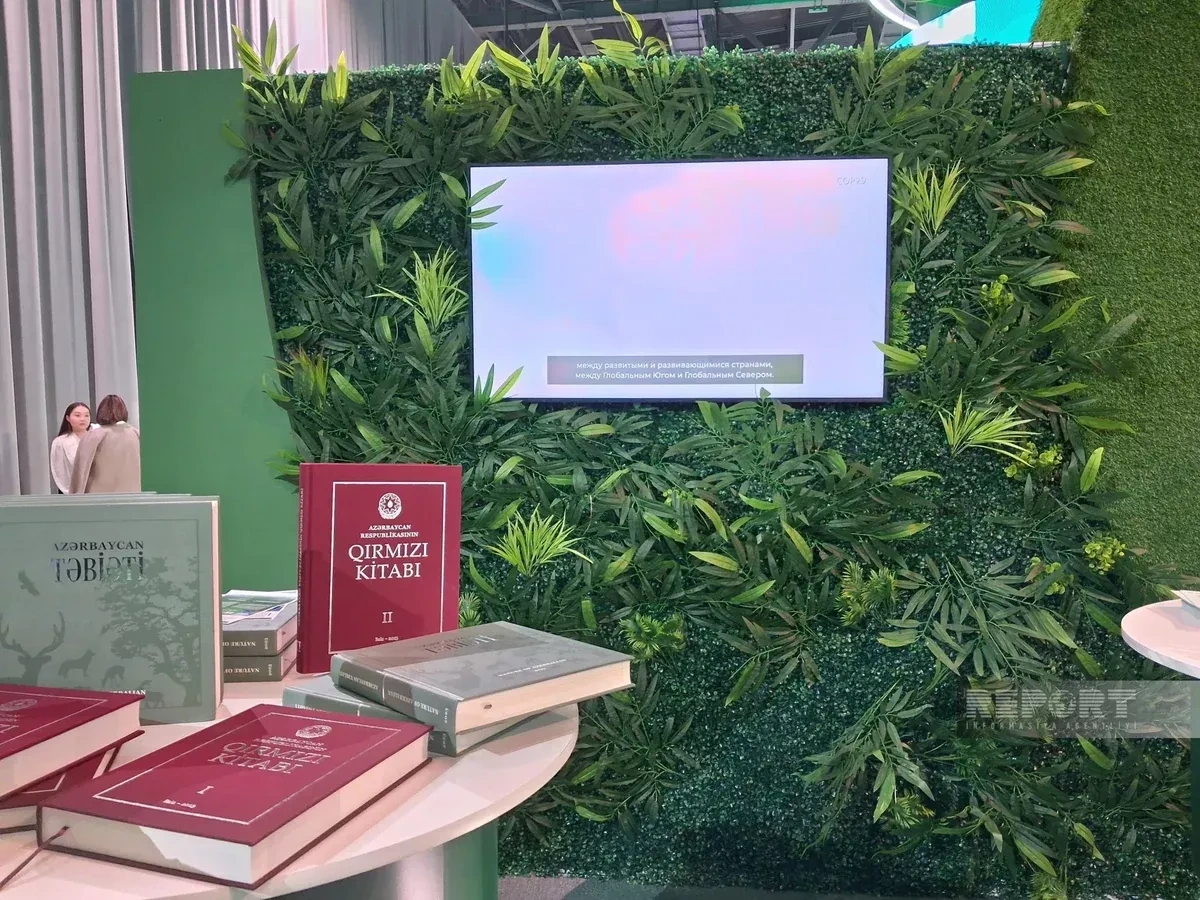 Azerbaijan showcases green energy agenda at RES2026 summit in Astana Photo