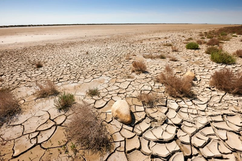 Uzbekistan, China sign agreements to expand co-op on desertification control