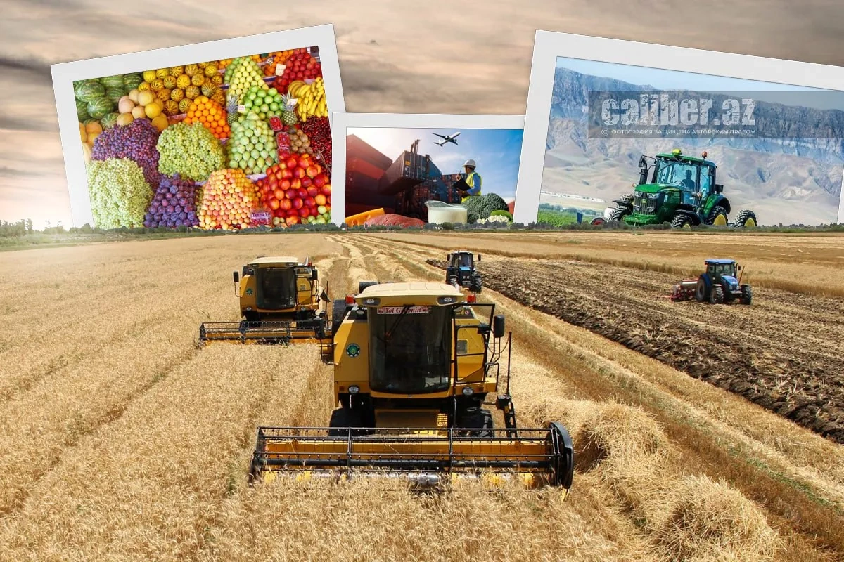 IsDB invests in agriculture: $436 million boost for Azerbaijan’s farms Caliber.Az review