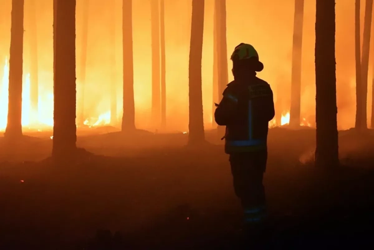Poland forest fire: aircraft crash kills pilot during firefighting mission