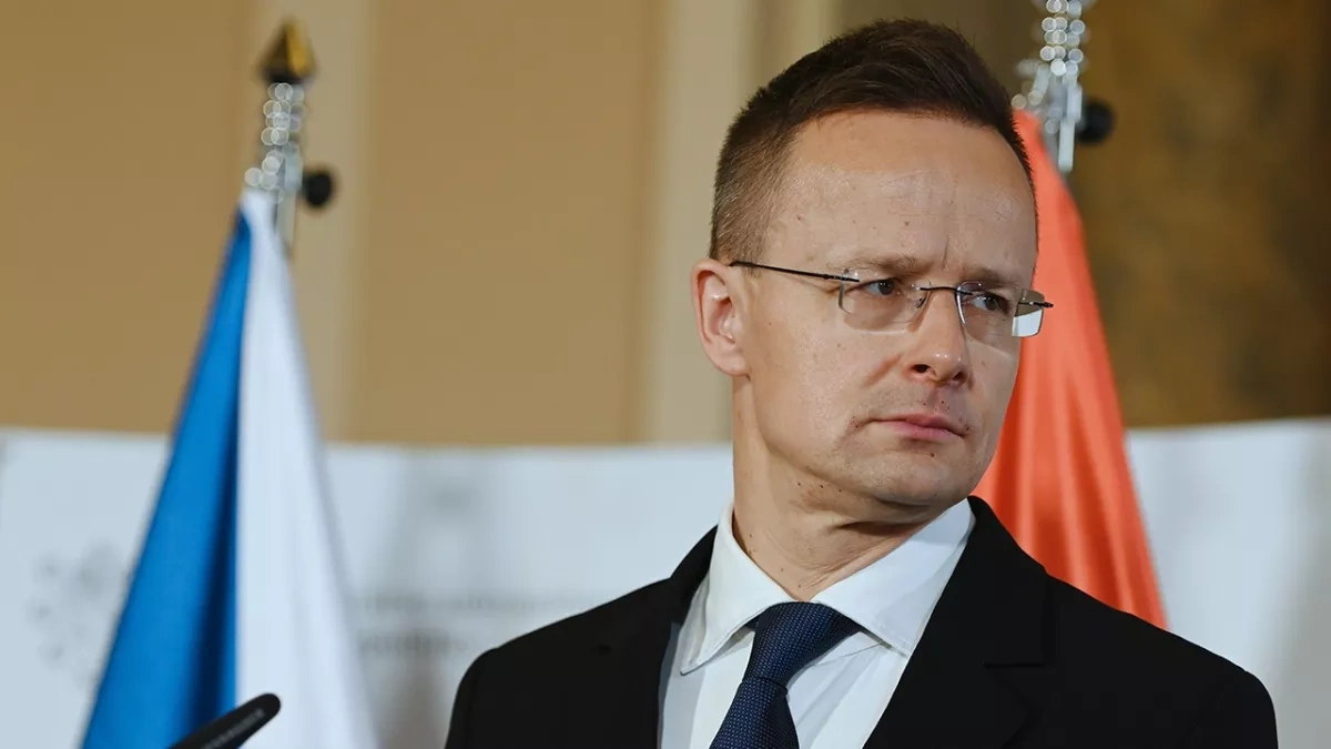 Hungarian FM: Better to admit Georgia to EU than Ukraine