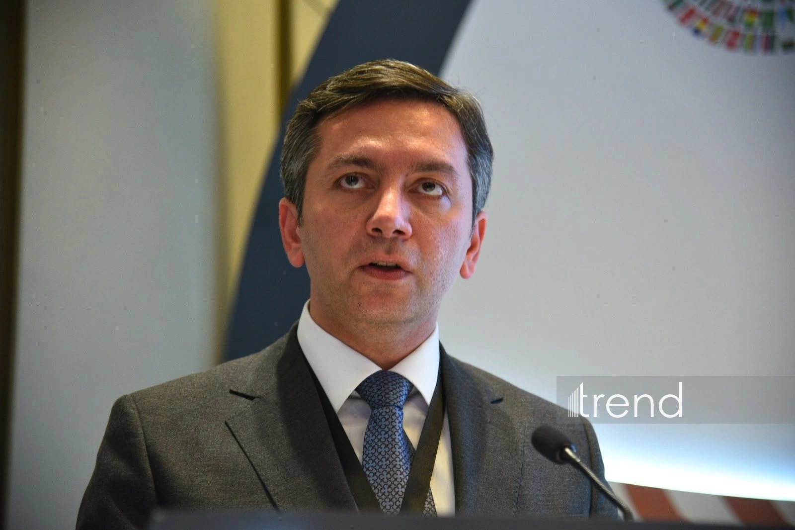 Azerbaijan highlights support to majority of OIC countries