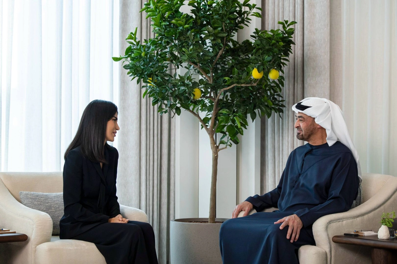 Uzbekistan, UAE explore new avenues for economic, AI cooperation