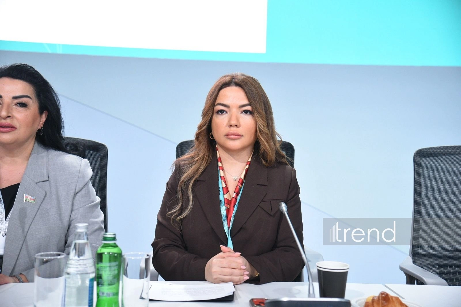 WUF13 hosts panel on drafting Azerbaijan's first national sustainability standard (PHOTO)