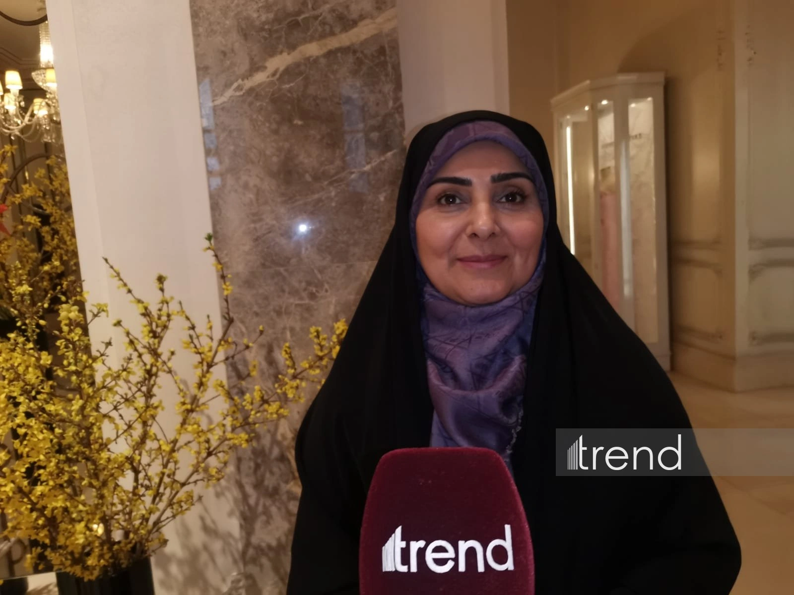 Iran pushes to launch rail link in North-South Transport Corridor - minister (Exclusive Interview)