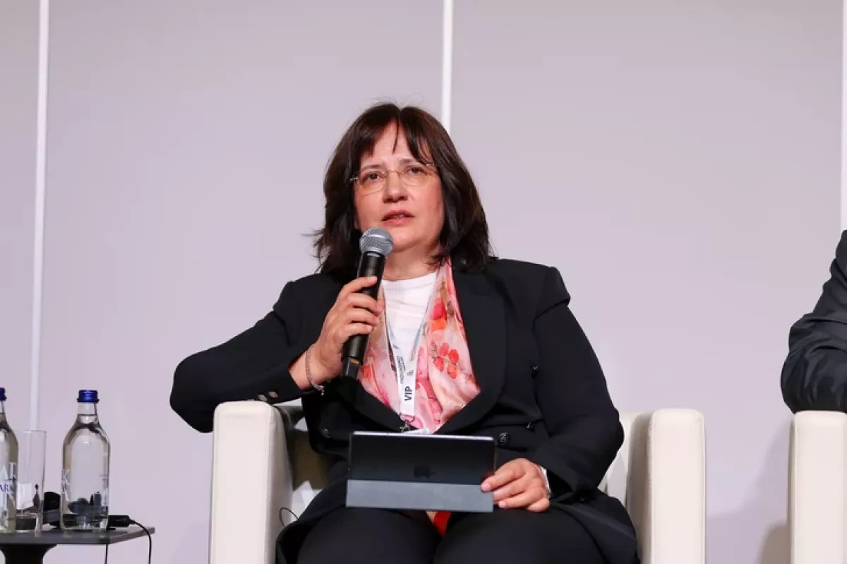 COP31 official: Global climate finance needs reach up to $9 trillion annually