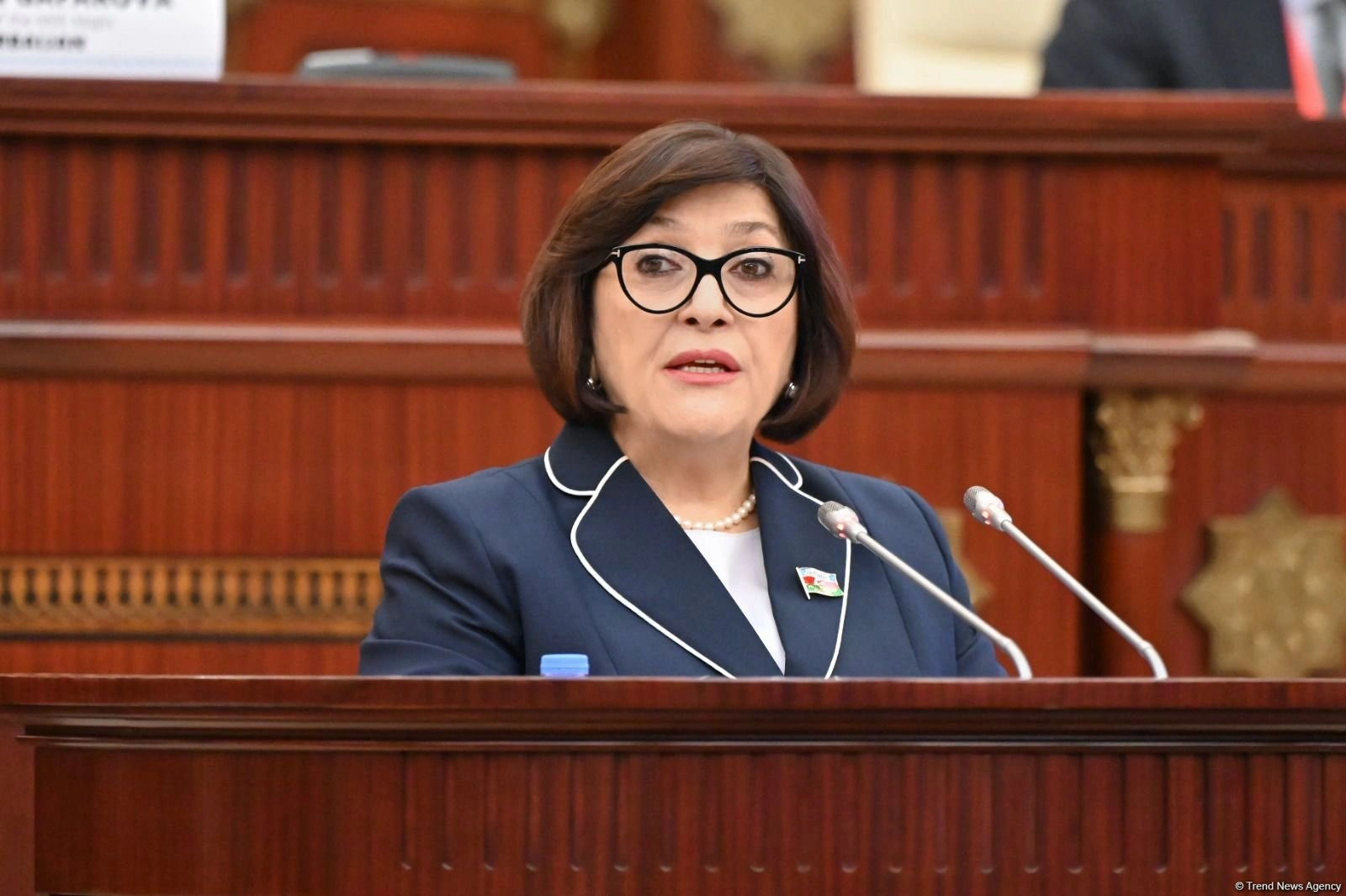 Azerbaijan slams European Parliament's ongoing biased policy - speaker