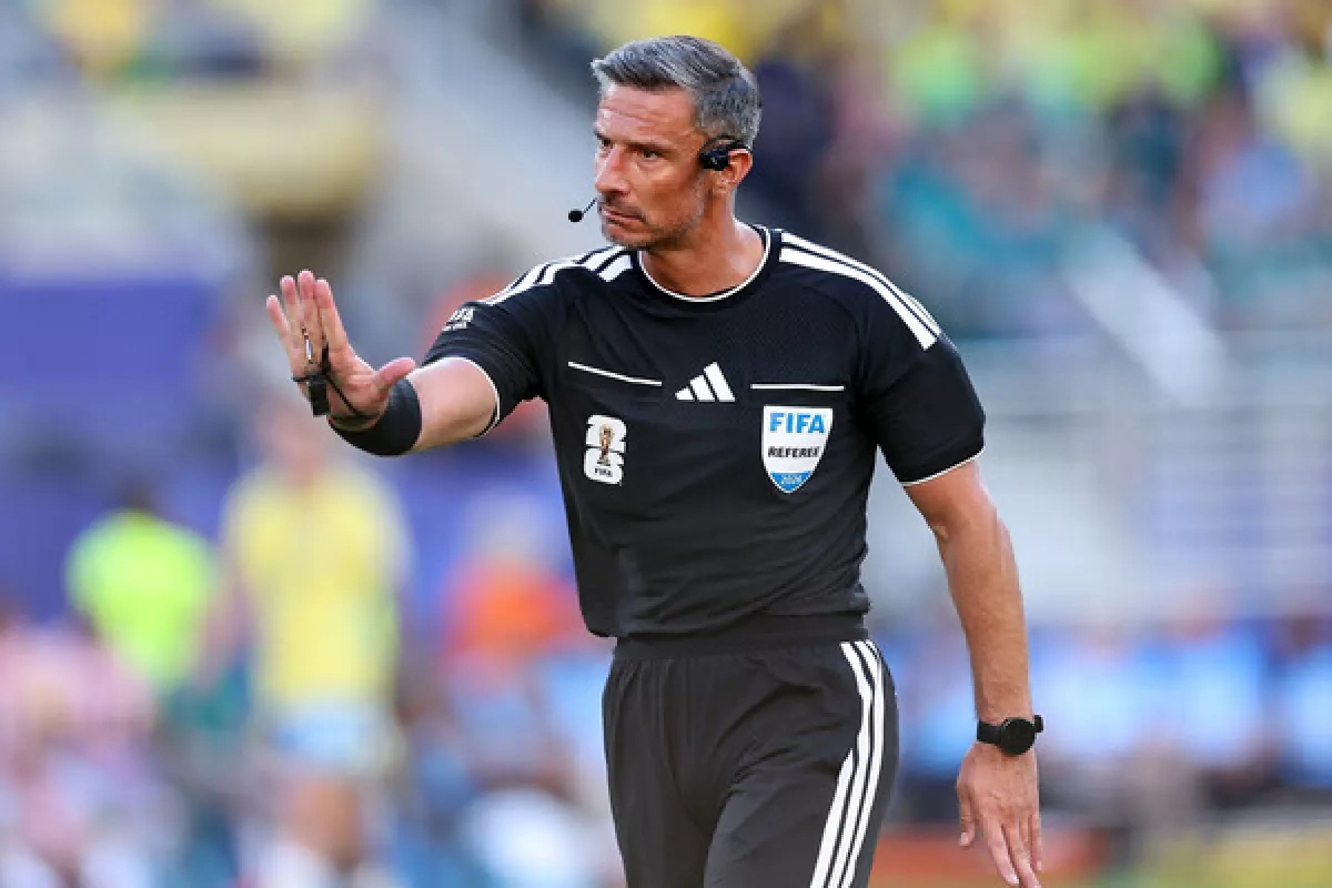 World Cup final referee Slavko Vincic faces backlash despite Spain's victory