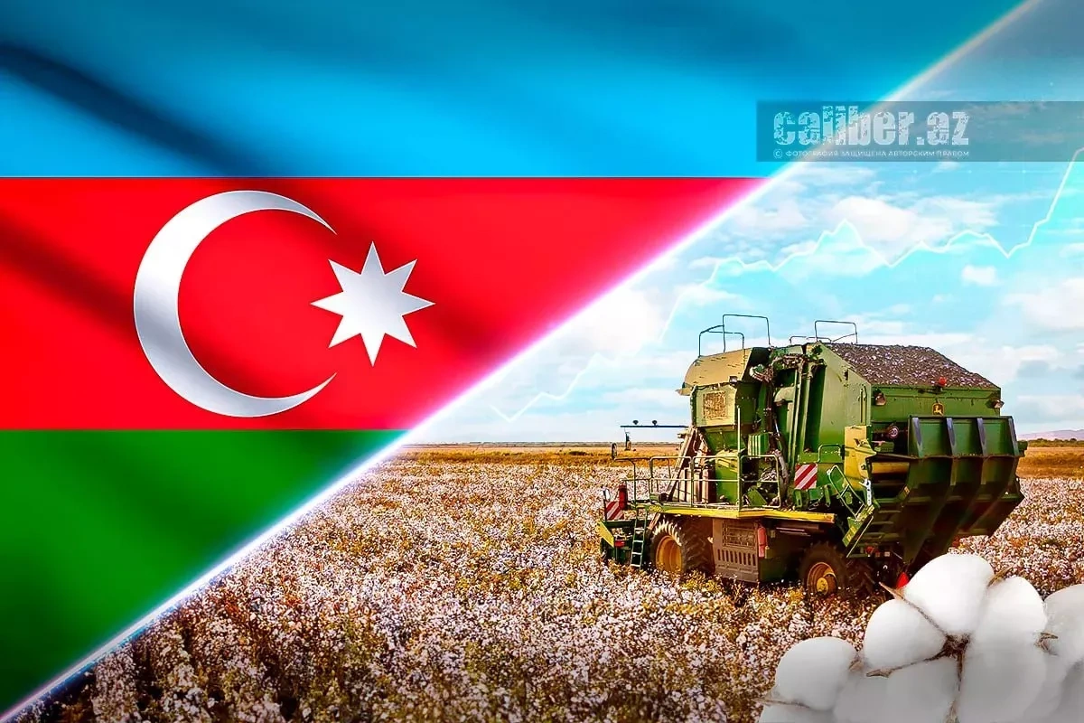 From fibre to fabric: Azerbaijan’s new cotton strategy Review by Khazar Akhundov