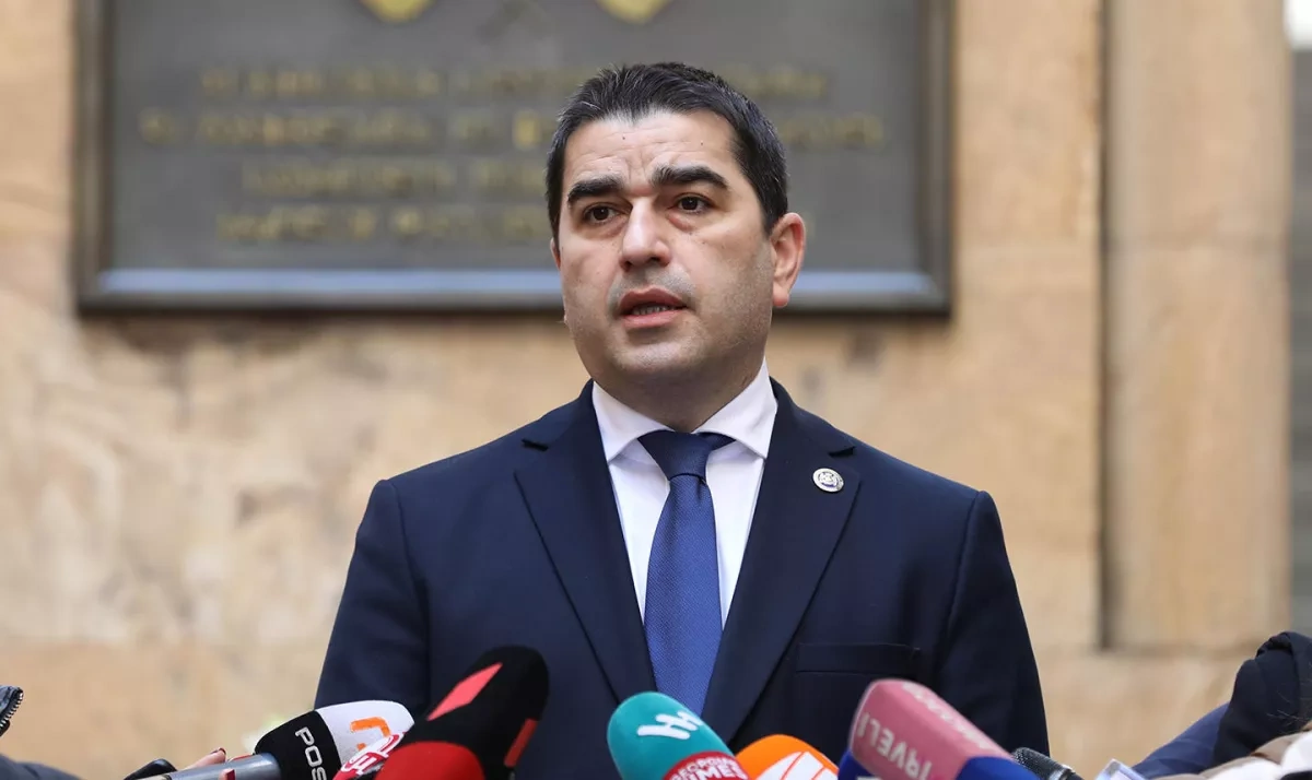 Georgian parliament speaker slams EU over inaction on Tbilisi unrest