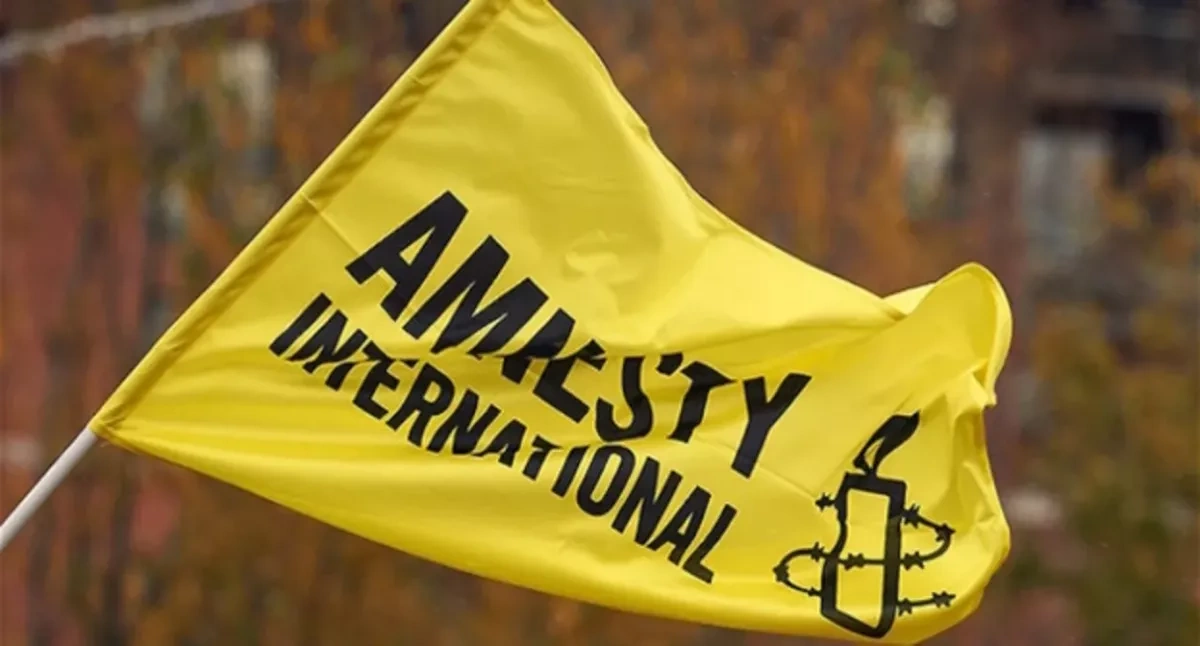 Azerbaijan's ombudswoman accuses Amnesty International of bias over Vardanyan case