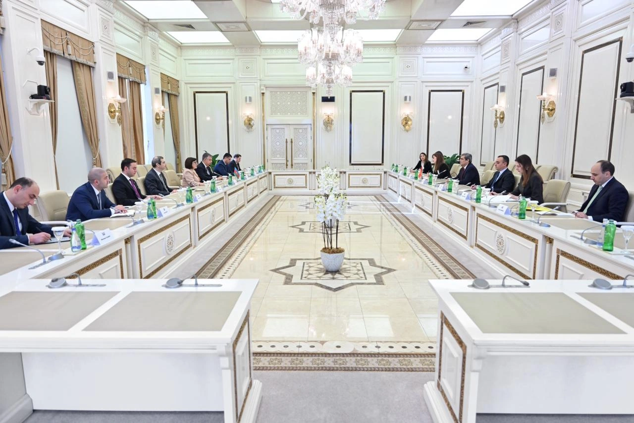 Azerbaijani Parliament Speaker meets Montenegro’s Deputy PM (PHOTO)