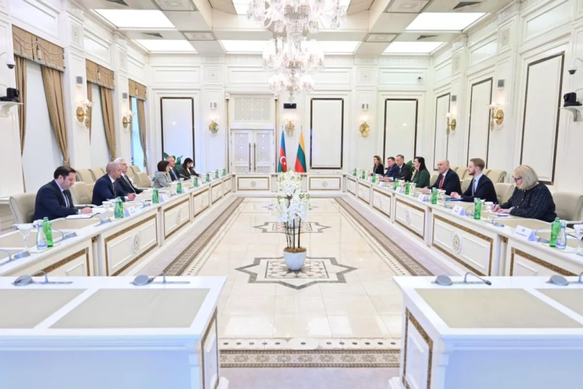 Azerbaijan, Lithuania pledge closer economic, cultural cooperation PHOTO