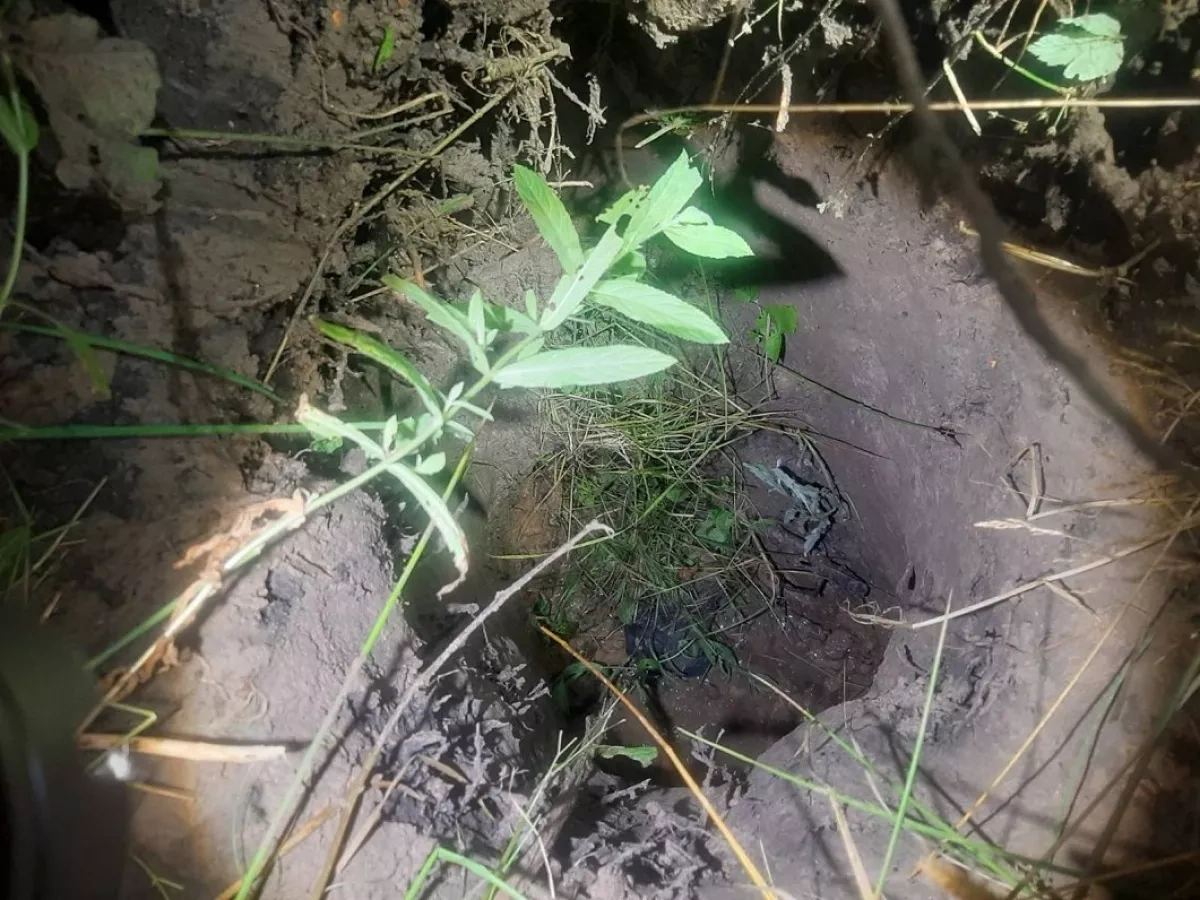 Latvia discovers first migrant tunnel beneath Belarus border PHOTO