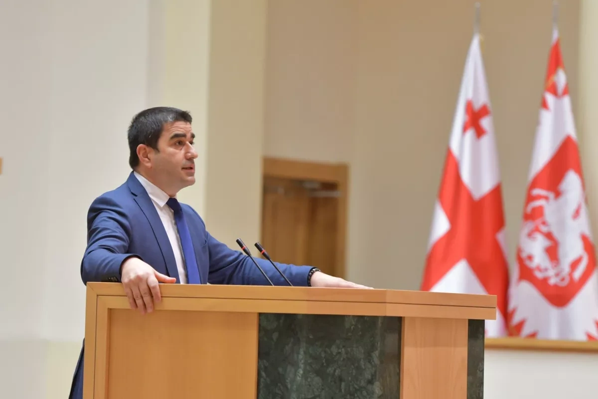 Georgia’s Parliament Speaker says EU uses Ukraine as defence line