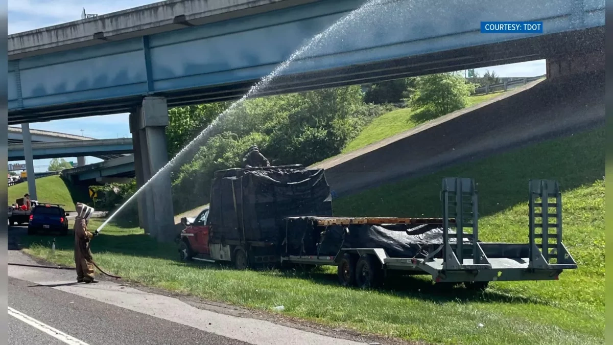 US: Million bees swarm Tennessee highway after truck crash