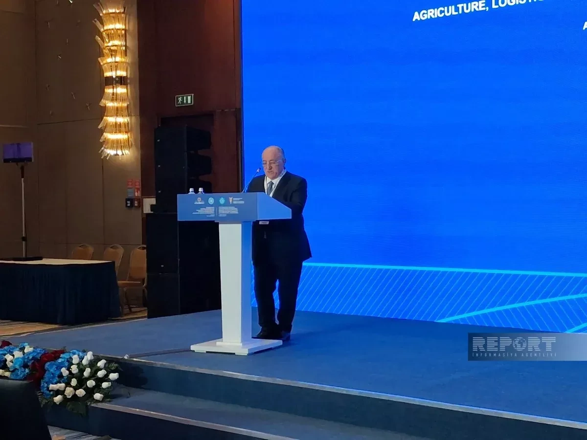 Azerbaijani business chief: OTS economies top $2.1 trillion GDP