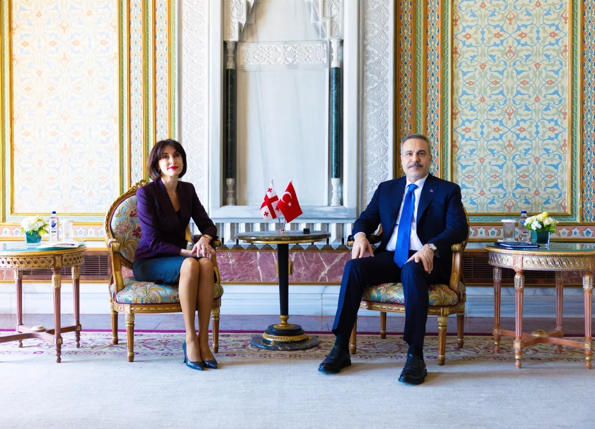 Turkish, Georgian foreign ministers meet in Istanbul for strategic talks