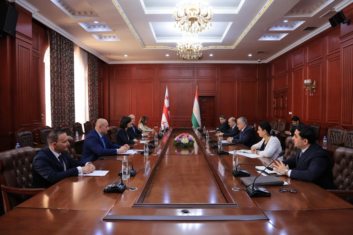 Tajikistan and Georgia discuss further development of bilateral relations