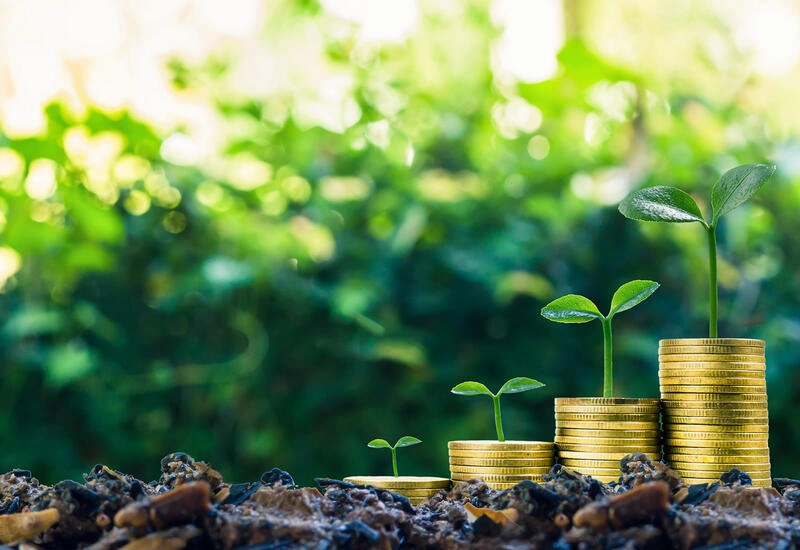 Uzbekistan unveils plans to expand capital market investments