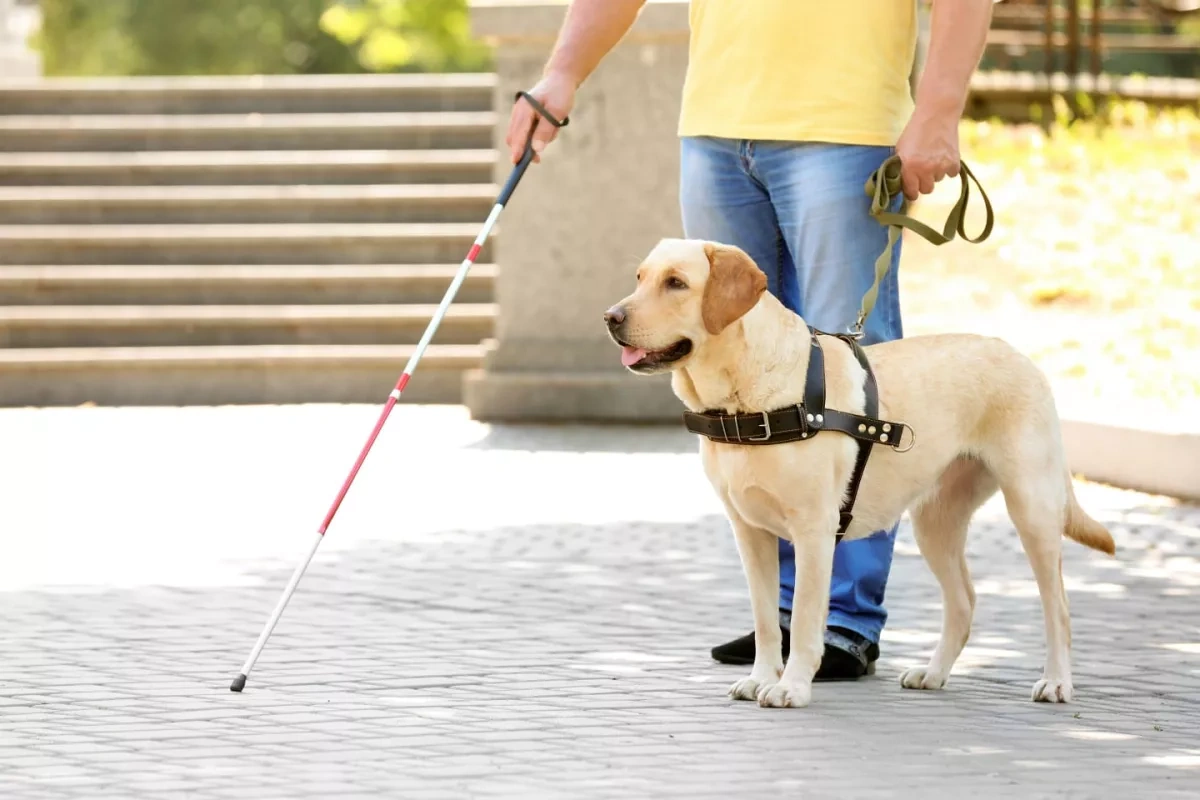 Blind people turn to AI-powered app using phone camera as "mirror"