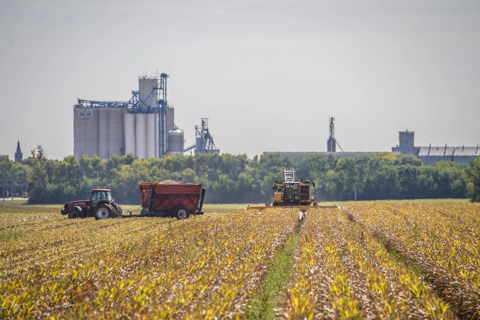 Kazakhstan launches new industrial, agricultural projects in regions