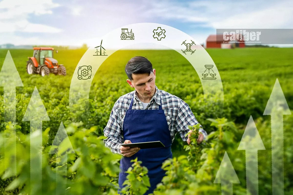 Azerbaijan’s agroparks: billion-dollar investments, but what’s the return? Caliber.Az review