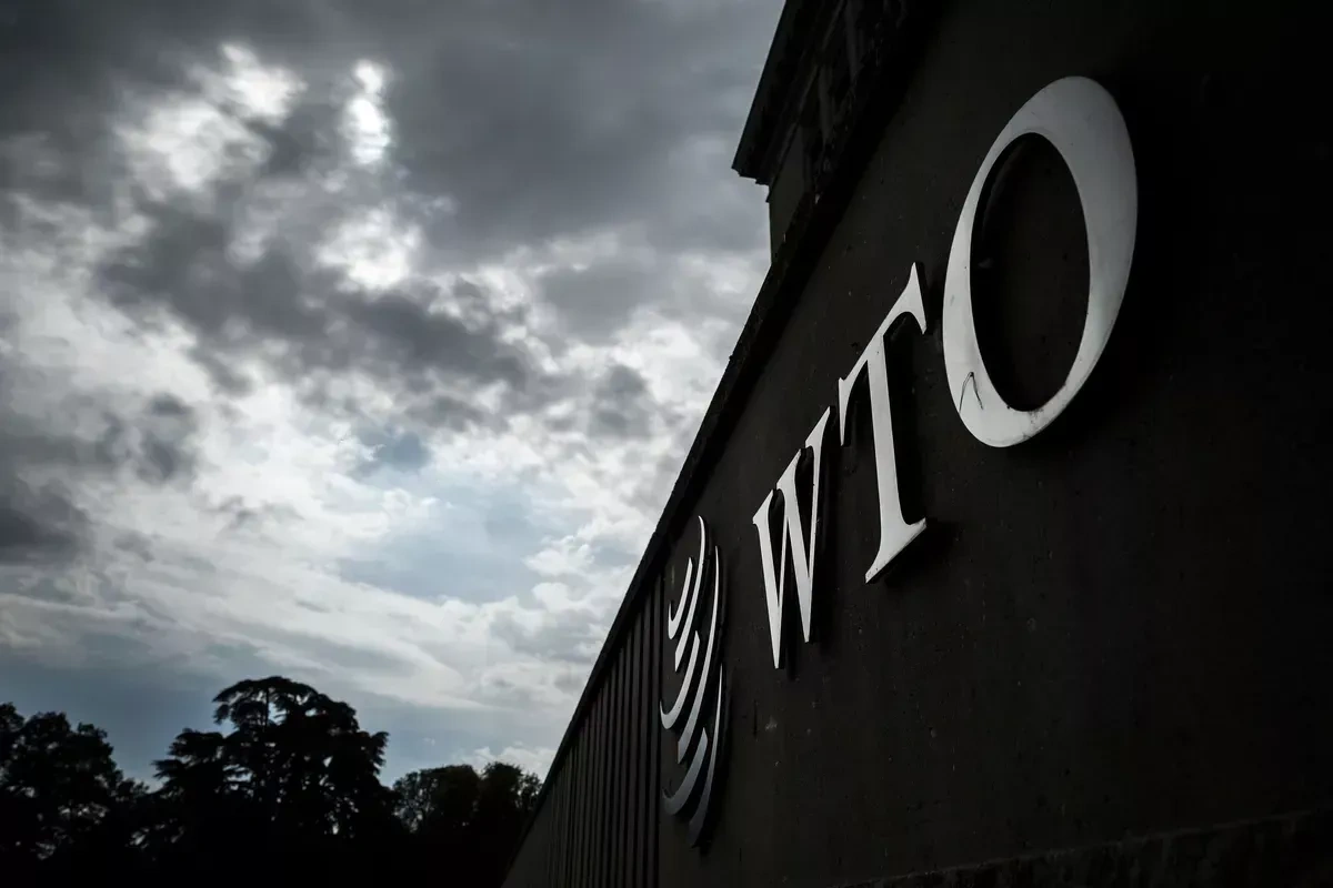 WTO reform talks in Cameroon face feep divisions and high stakes