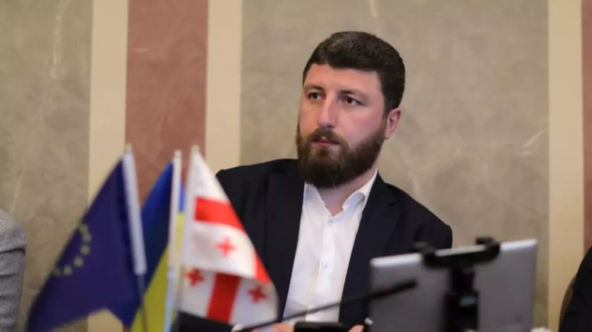Georgian MP says scrutiny of retail prices prompted strong opposition backlash
