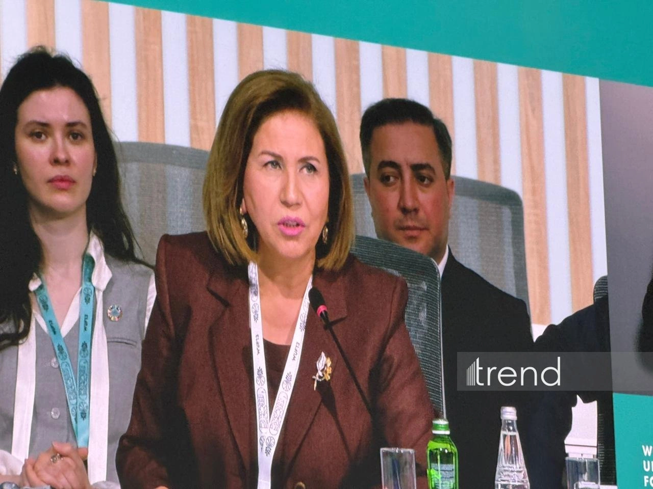 Azerbaijan bets on safer, more supportive future for children’s dev't - official