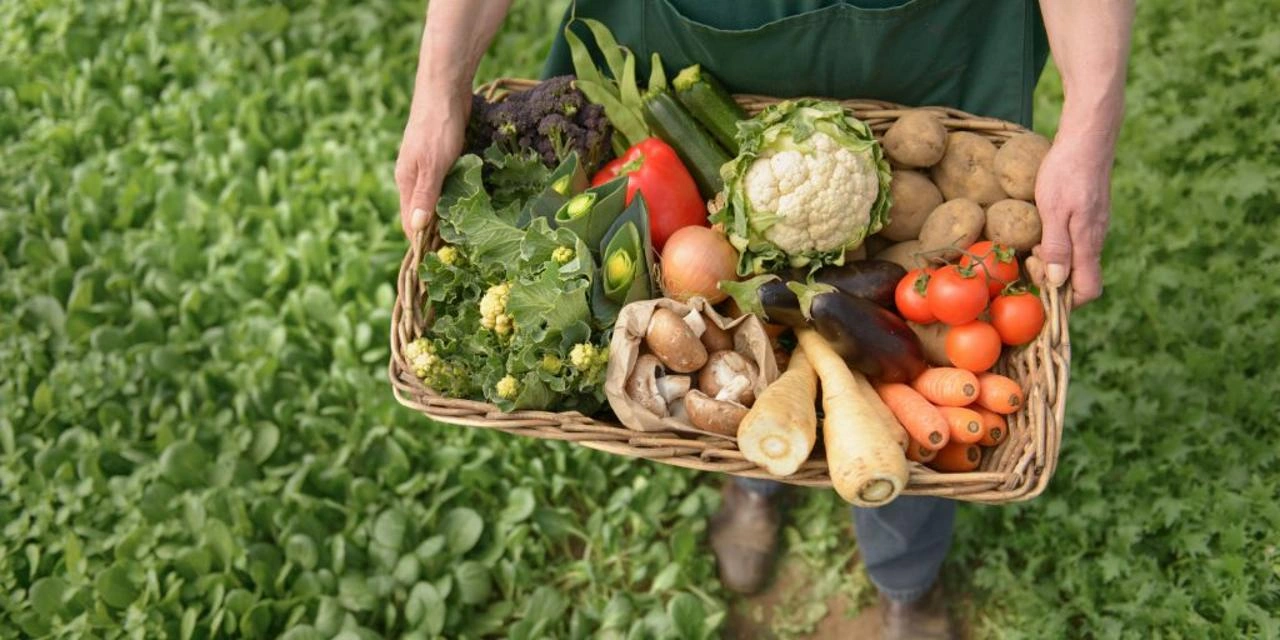 Food prices ease across Kyrgyzstan, neighboring markets, ministry says