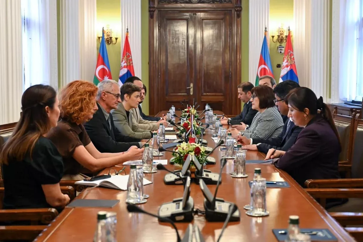 Parliamentary diplomacy in focus at Azerbaijan-Serbia talks
