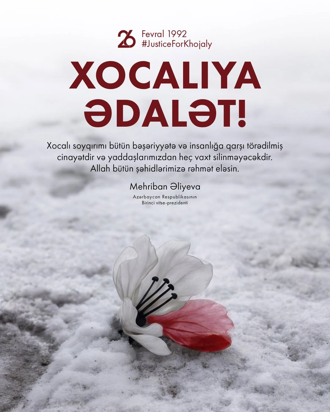 First VP Mehriban Aliyeva shares post on 34th anniversary of Khojaly genocide (PHOTO)