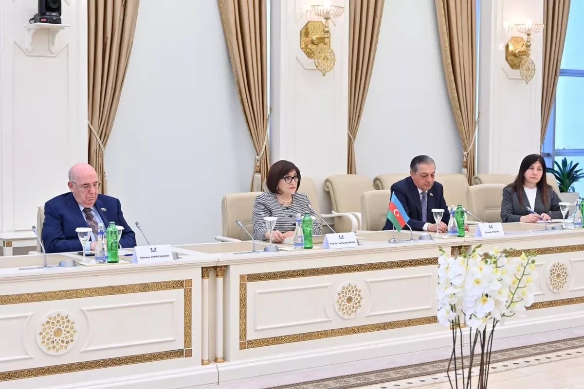 Azerbaijani parliament speaker backs expanded dialogue with Türkiye, Northern Cyprus PHOTO