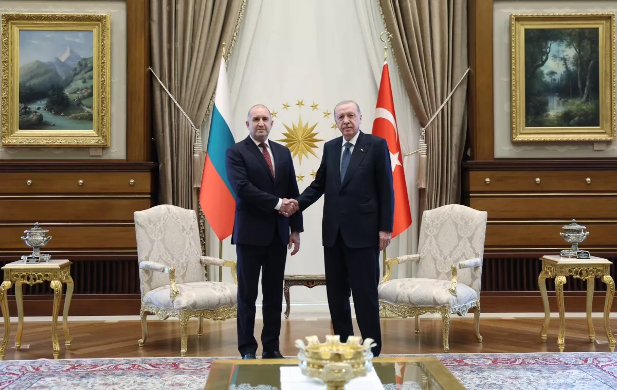 Erdoğan, Bulgarian president discuss bilateral ties ahead of NATO summit PHOTO