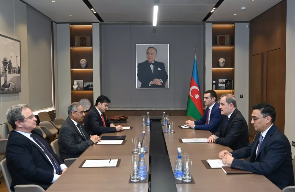 Azerbaijan, D-8 explore expanded cooperation in energy, transport