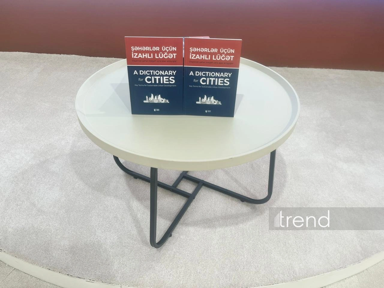 WUF13 in Baku showcases new explanatory dictionary for urban planning terms (PHOTO)