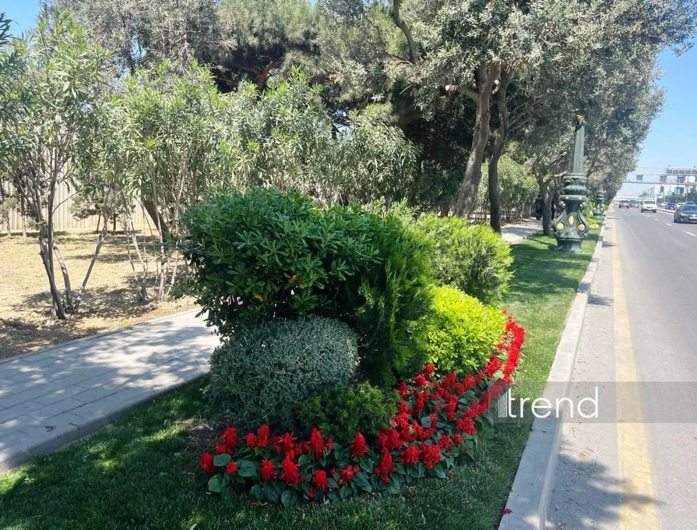 Azerbaijan's Baku blossoms with flowers ahead of WUF13 conference (PHOTO)